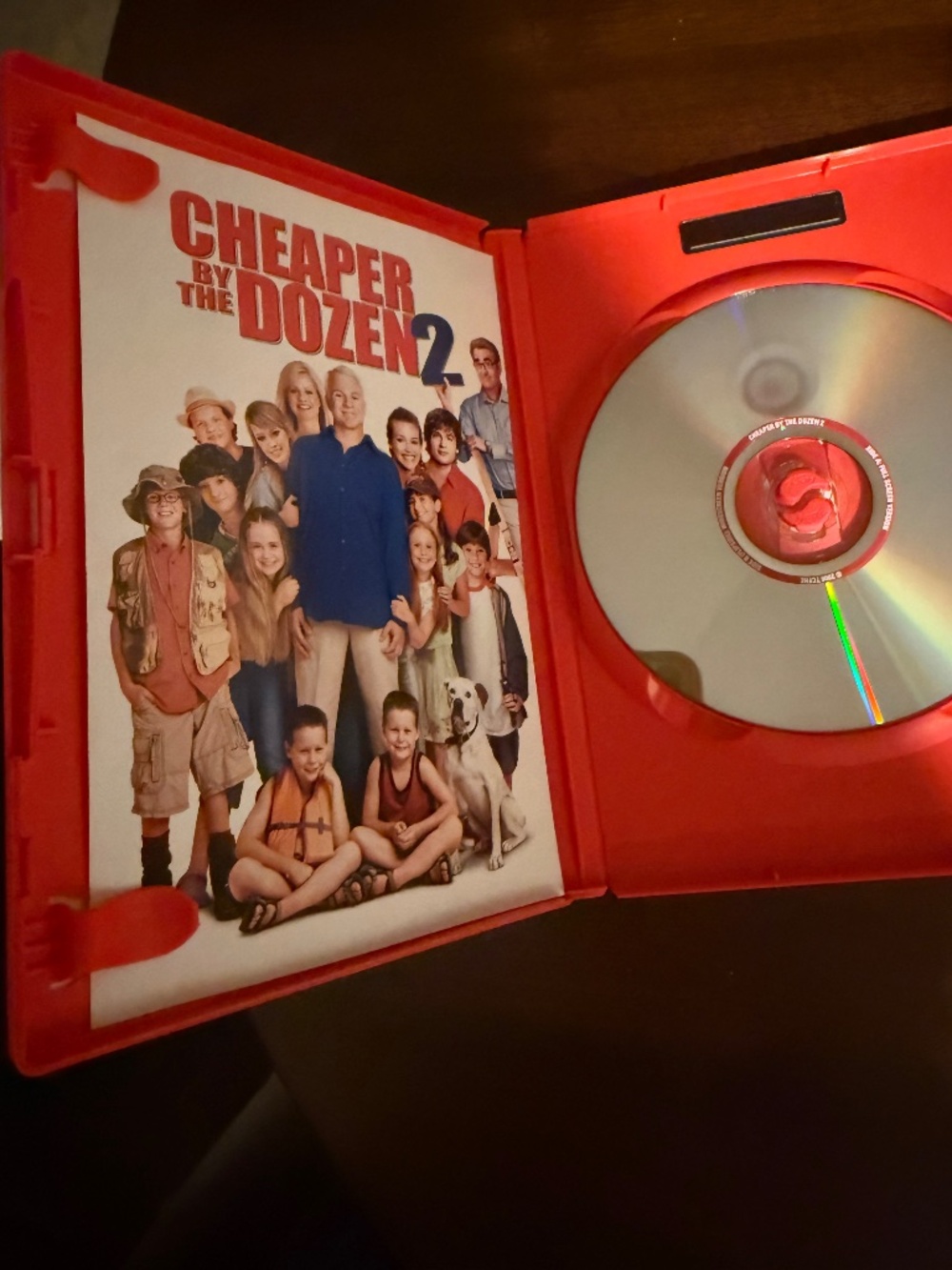 Cheaper By The Dozen 2